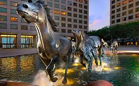 Hilton Garden Inn Dfw Airport South